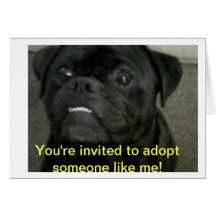 Adoption Fair Invitation Card