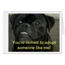 Adoption Fair Invitation Greeting Cards