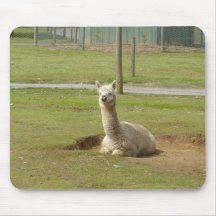Adorable Alpaca Mousepads