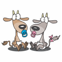 adorable cute baby kids goatlings goats cartoon photo cutout