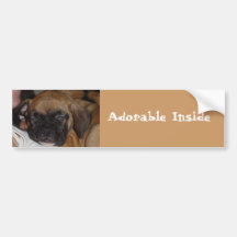 Adorable Inside Bumper Sticker