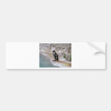 Adorable Penguin Bumper Sticker