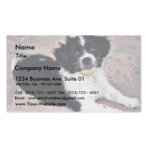 Adorable Puppy On The Ground Business Card Template