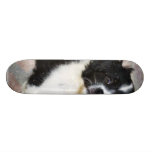 Adorable Puppy On The Ground Skate Board Deck