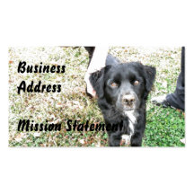 Adorable Smokey Poses for the Camera Business Card Templates