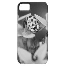 Adventurous Lady iPhone 5 Covers