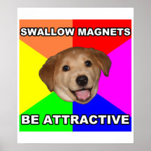 Advice Dog Swallow Magnets Print