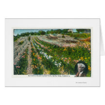 Aerial View of Burbanks Experimental Farm Card