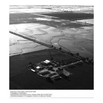 Aerial View of Rice Fields by Ansel Adams posters