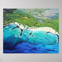 Aerial View Tropical Beach Art Poster