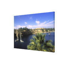 AF, Egypt, Upper Egypt, Aswan. River Nile, Gallery Wrap Canvas