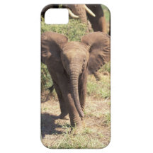 Africa, Kenya, Amboseli National Park. African 2 iPhone 5 Cover