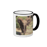 Africa, Kenya, Amboseli National Park. African 2 Coffee Mug