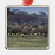 Africa, Kenya, Amboseli National Park. African 3 Christmas Ornament