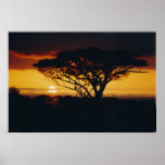 africa sunset print