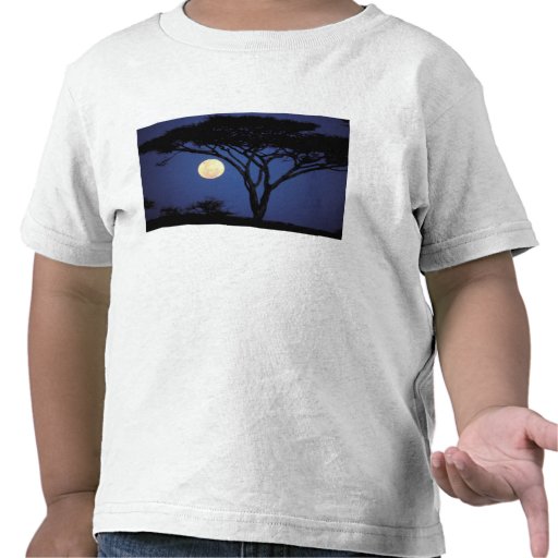 Africa, Tanzania, Tarangire. Acacia tree in T Shirt