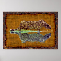 African Cheetah Drinking at Waterhole Big Cat Art Print