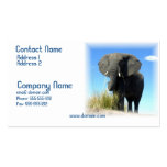 African Elephant Business Card