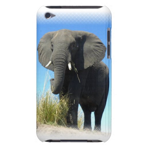 African Elephant iTouch Case Barely There iPod Covers