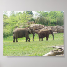 AFRICAN ELEPHANTS POSTERS