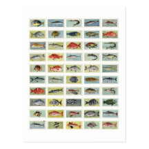 African Fish Post Cards
