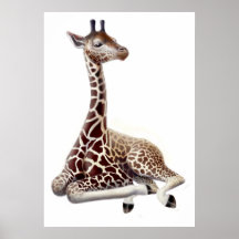 African Giraffe at Rest Poster