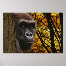 African Gorilla Great Ape & Forest Art Poster