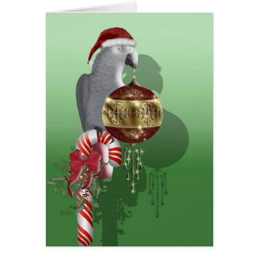 African Grey Christmas Greeting Card