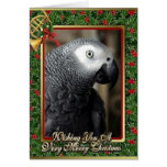 African Grey Parrot Christmas Card