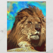 African-Lion-Digital Art Flyers