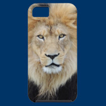 African Lion iPhone 5 case casemate cases