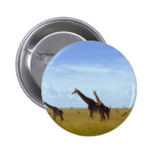 African Safari Giraffes Pinback Button