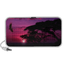 African Sunset iPod Speaker