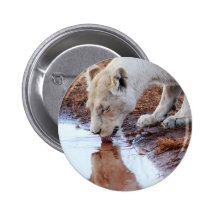 African white lion reflection buttons