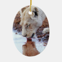 African white lion reflection christmas ornament