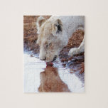African white lion reflection puzzles
