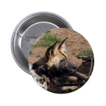 African Wild Dog Button