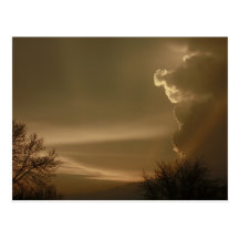 After The Storm Postcard