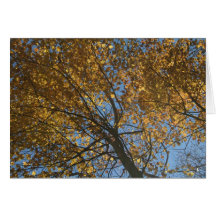 AFTERGLOW GREETING CARDS