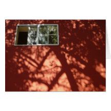 Afternoon Shadows Cards