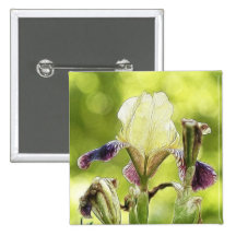 Afternoon Sun Iris Bloom Button