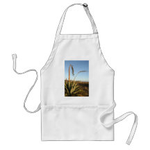 Agave americana century plant Chile coast Aprons