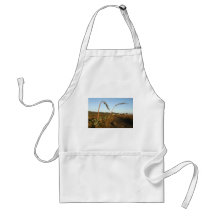 Agave americana century plants Chile coast Apron