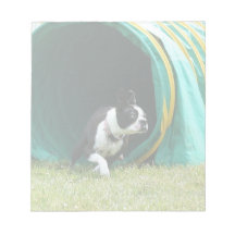 Agility Boston Terrier Notepad