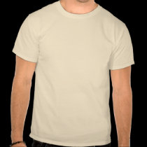 AIR FORCE FIGHTER t-shirts