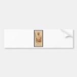 AJ112 BUMPER STICKER