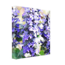 Ajuga Flowers Canvas Print