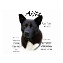 Akita (blk) History Design Post Cards