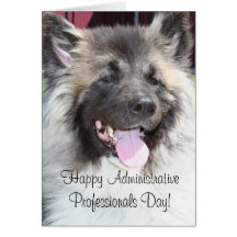 Akita dog greeting card