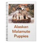 Alaskan Malamute Puppies Notebook